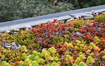the cost of Eighton Banks green roof installation