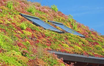 Eighton Banks living roof systems
